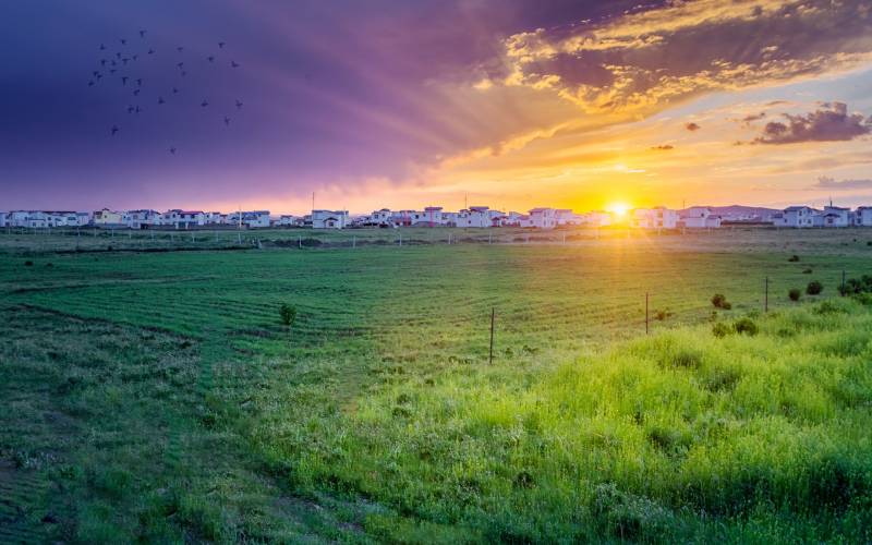 企业团建挑战赛（若尔盖草原穿越）